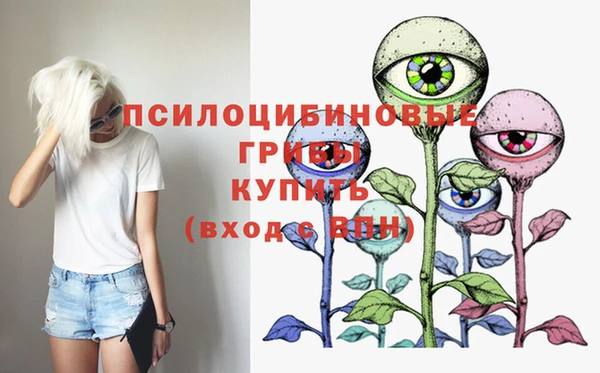 дмт Алексин