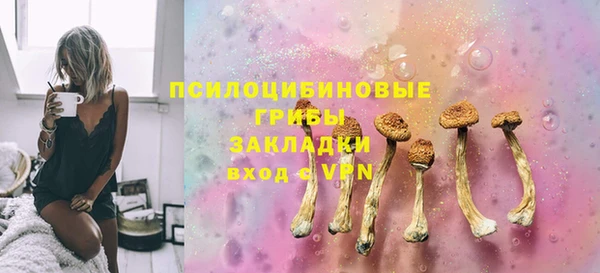 дмт Алексин