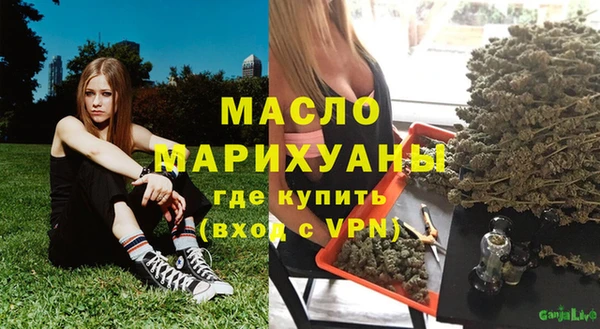 дмт Алексин