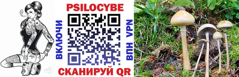 mega ONION  как найти наркотики  Нолинск  Псилоцибиновые грибы Psilocybe 